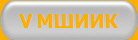 V МШИИК