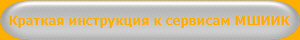 Краткая инструкция к сервисам МШИИК