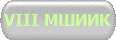 VIII МШИИК